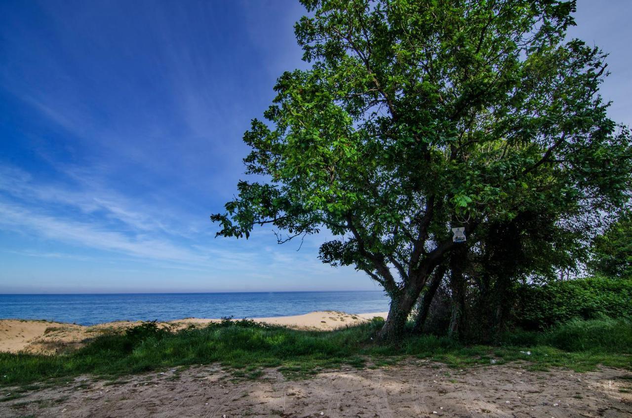 Alex Village Shkorpilovtsi Luaran gambar